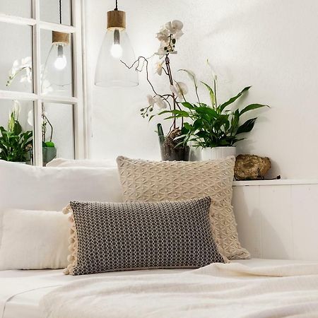 Trastevere Gem Cozy Light-Filled Retreat Рим Экстерьер фото